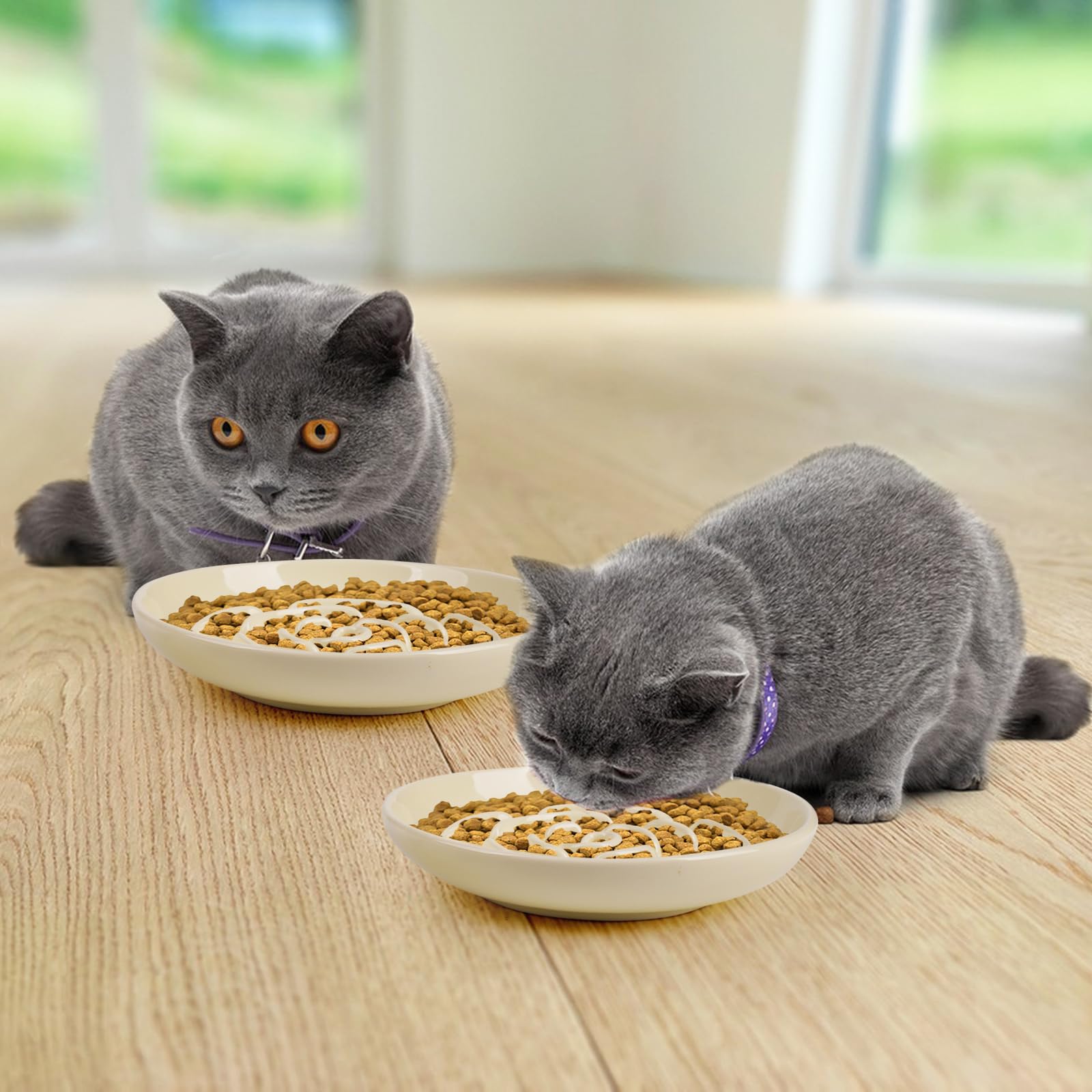 Lfpkixise 5.9-inch diameter bowl holds 1-2 cups dry food.