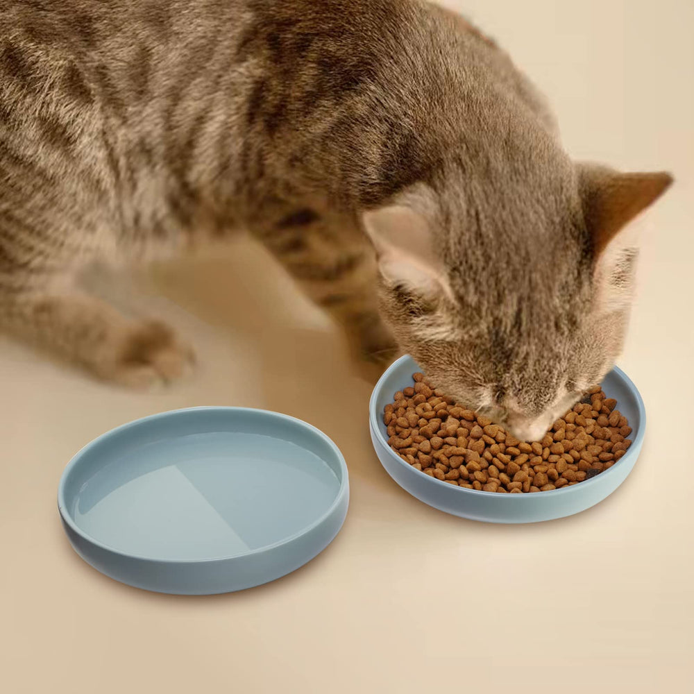 Lfpkixise multi-use bowls suitable for snacks, treats, or small plates.