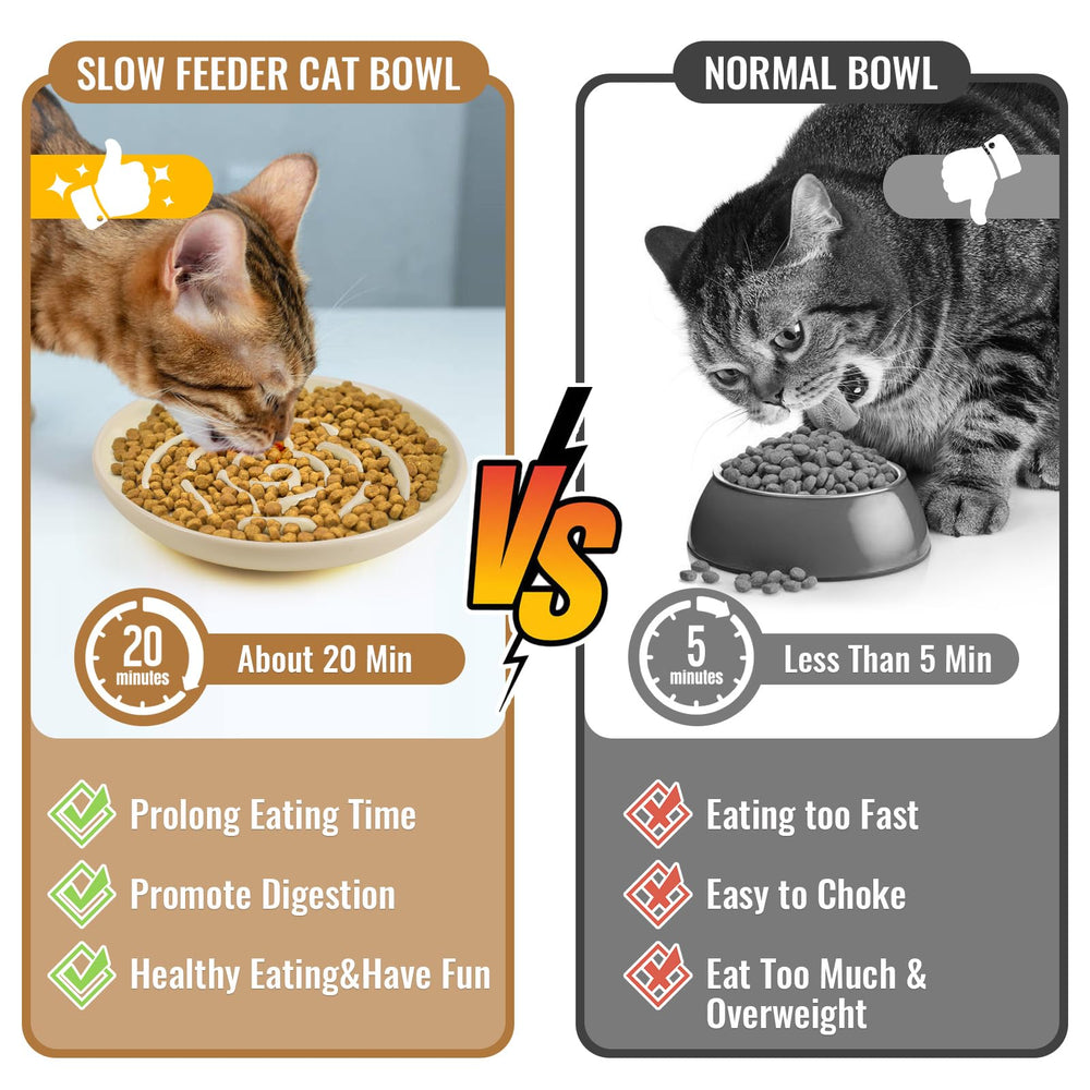 Set of 2 bowls arranged for multi-cat households.