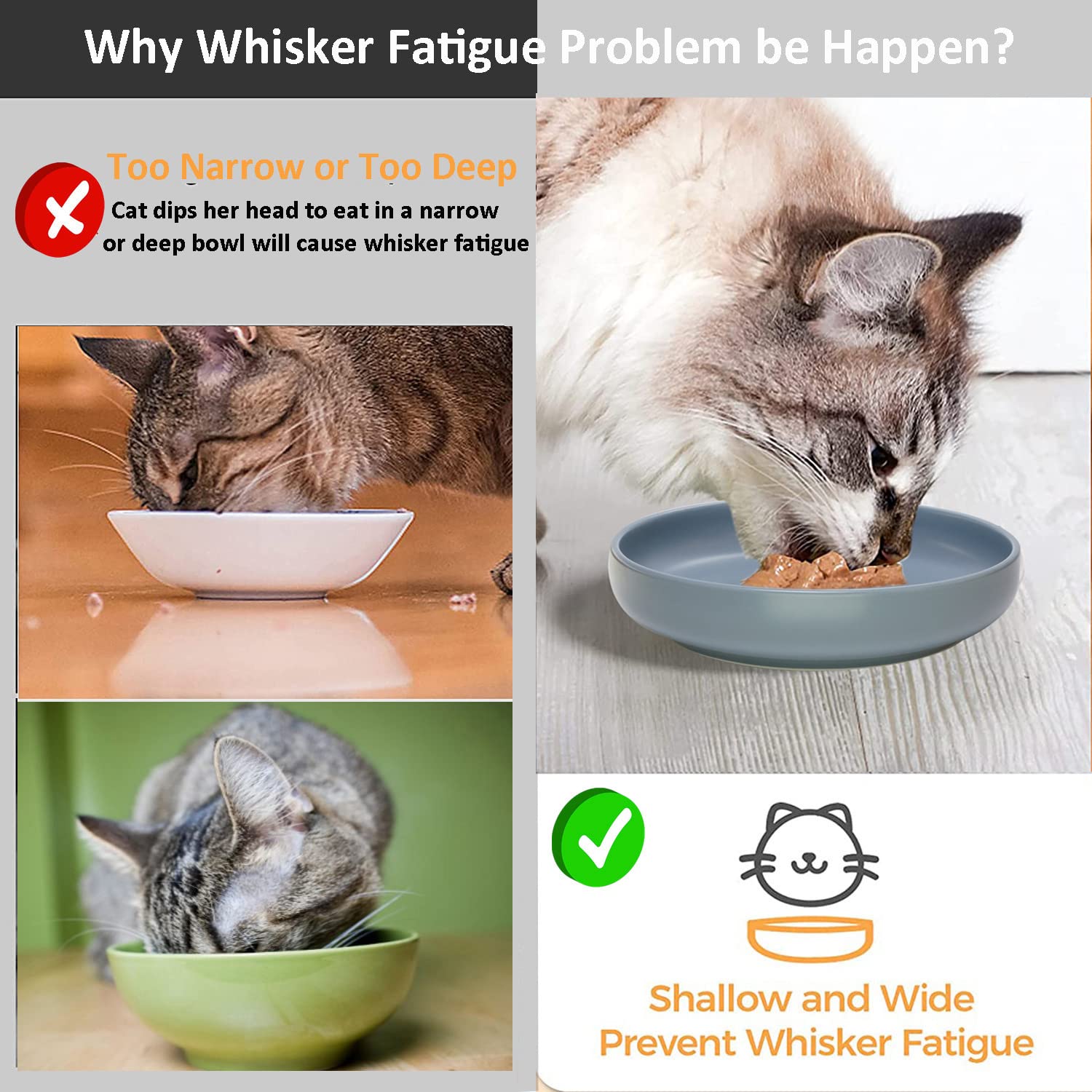 Lfpkixise set of 3 bowls arranged for multi-pet feeding.