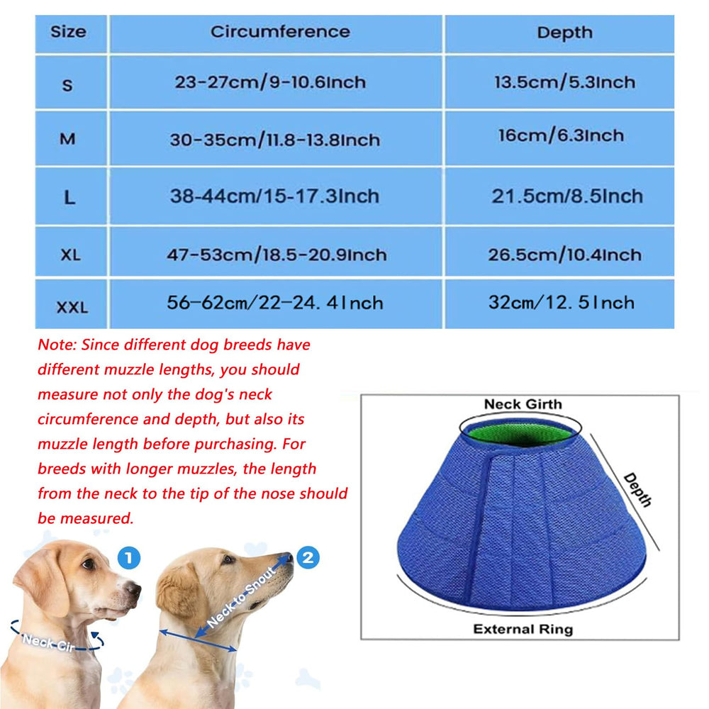 Overview of LH NTGR dog cone protection and coverage for healing
