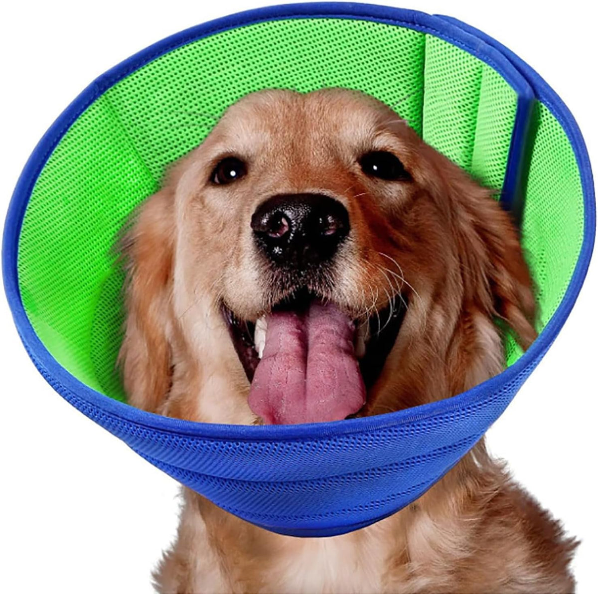 LH NTGR soft dog cone in blue protects wounds while keeping pets comfortable
