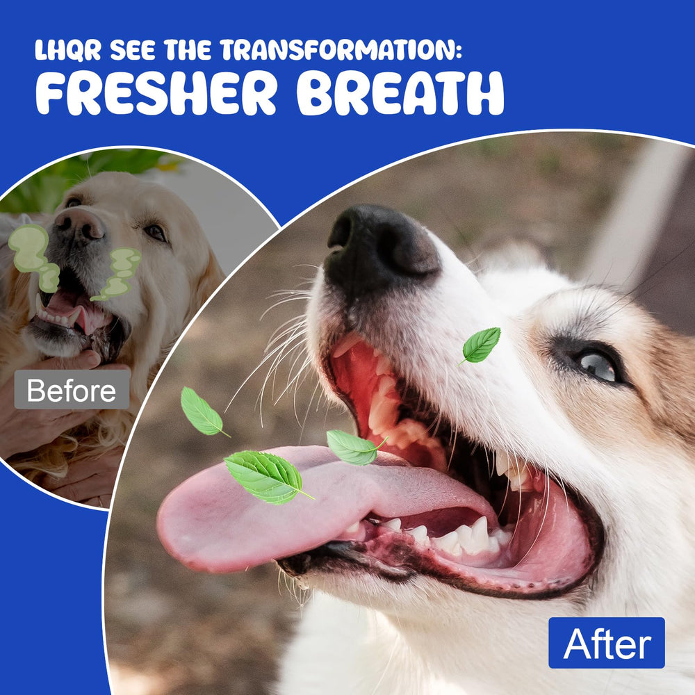 LHQR cat and dog oral health benefits highlighted in product image