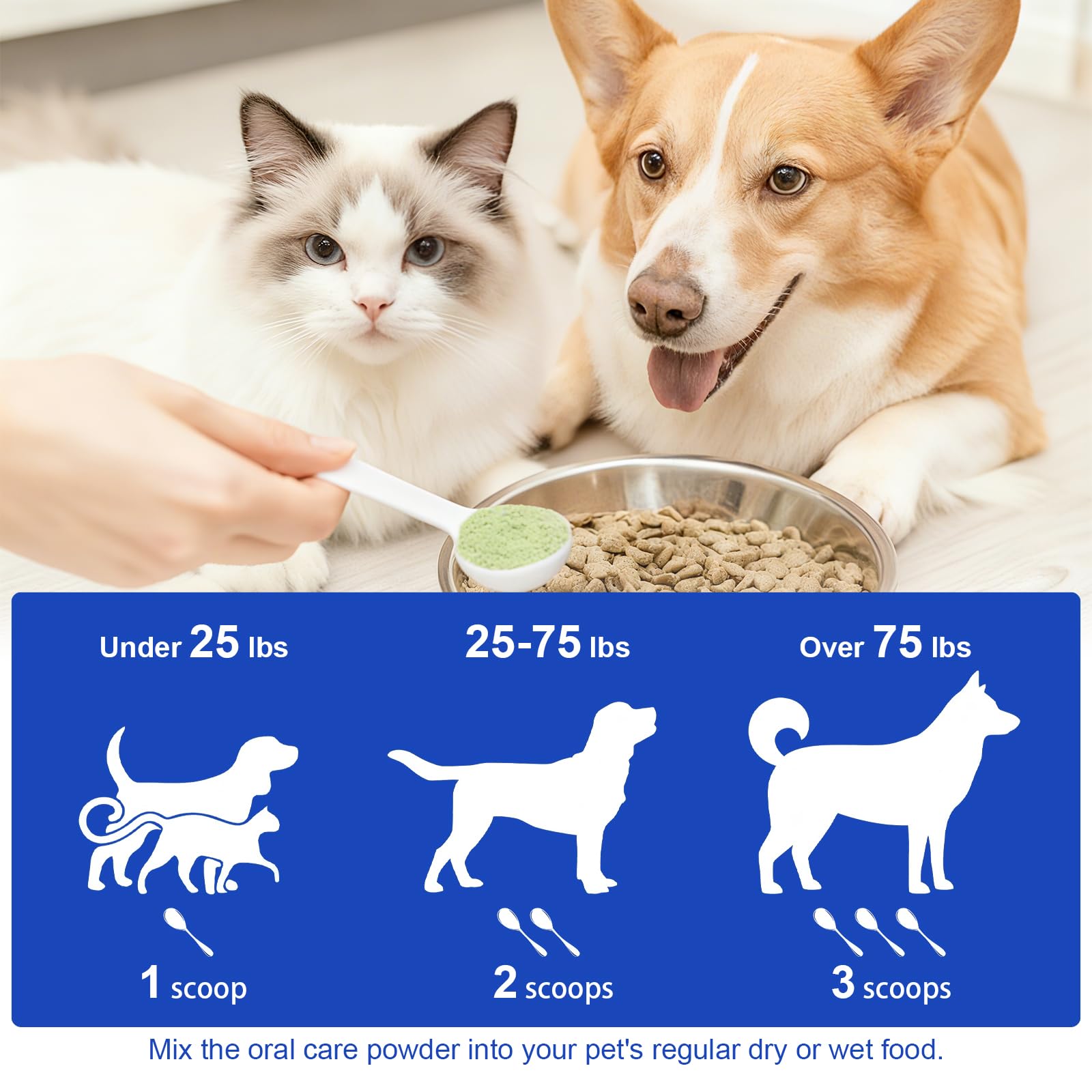 LHQR dog dental powder fresh breath result image suggesting odor reduction