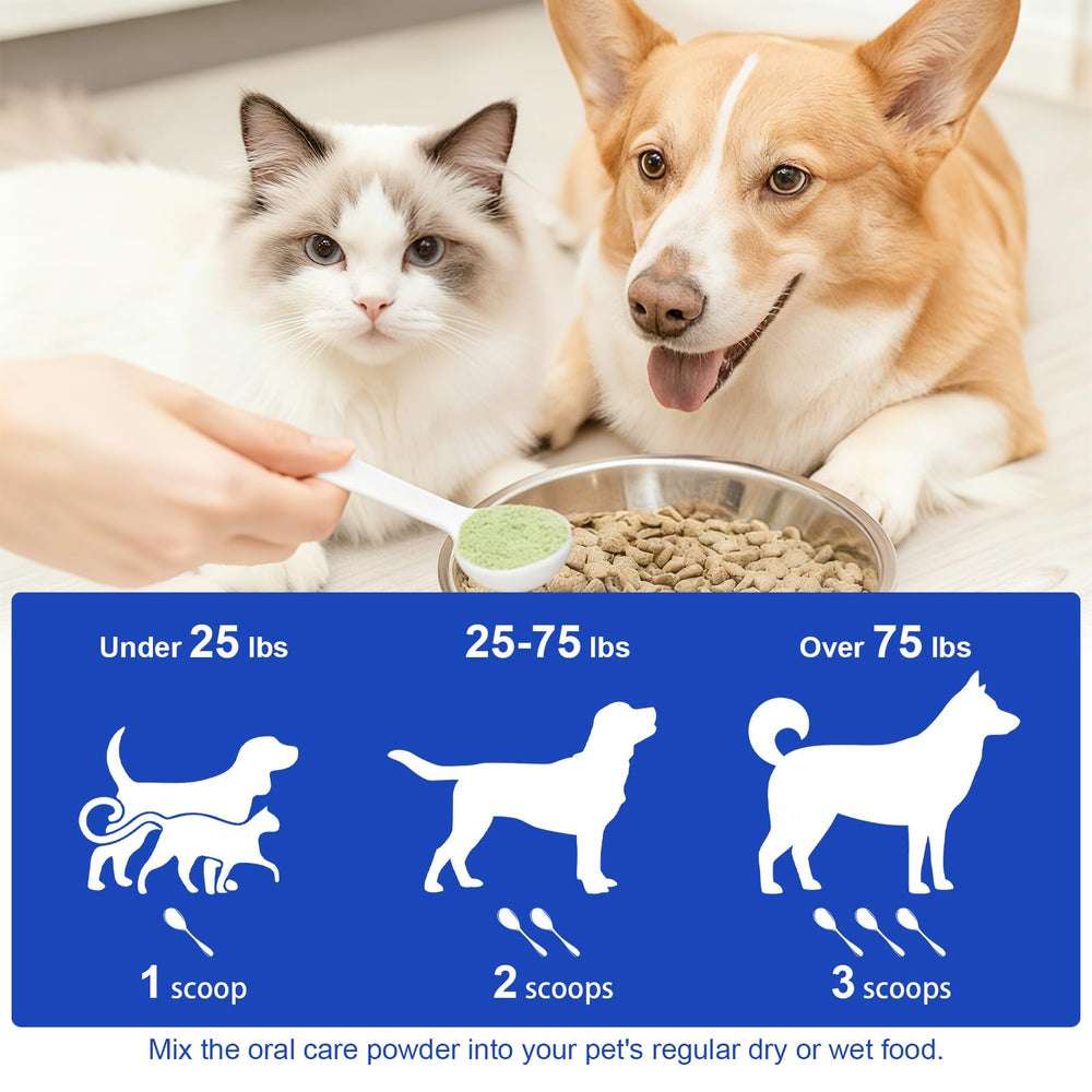 LHQR dog dental powder fresh breath result image suggesting odor reduction