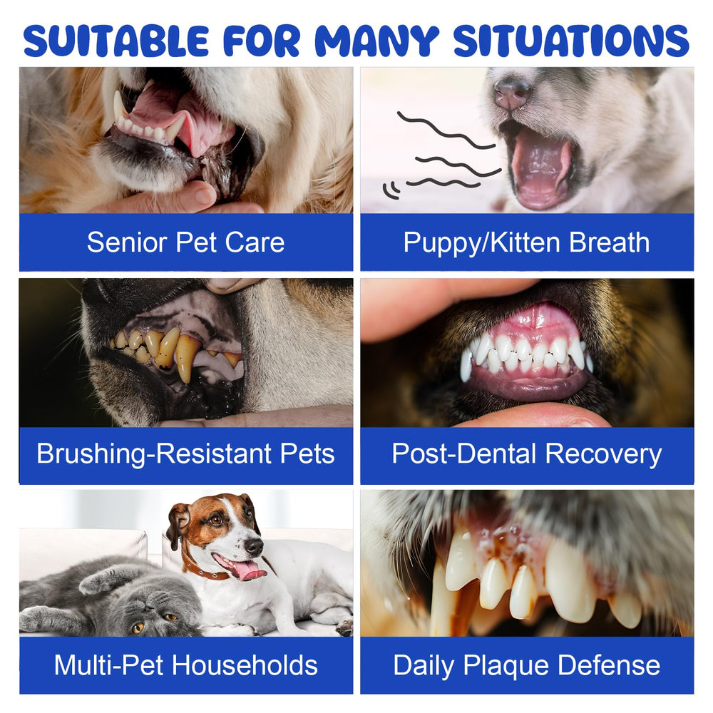 LHQR dog dental powder probiotics graphic indicating 5-strain support
