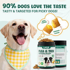LHQR chicken-flavor chews offering tasty texture for daily use