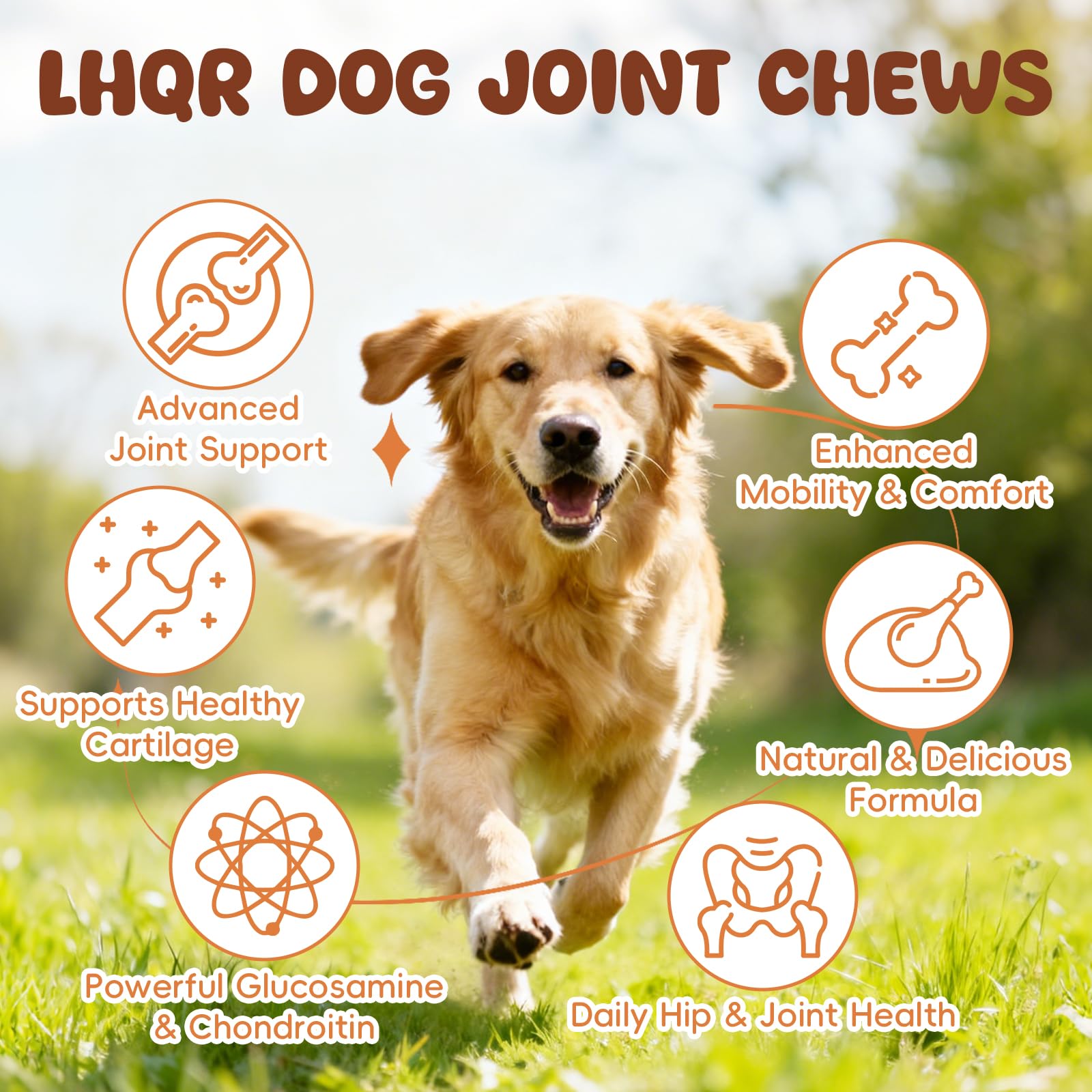 LHQR glucosamine bottle label close-up highlights key ingredients for mobility.