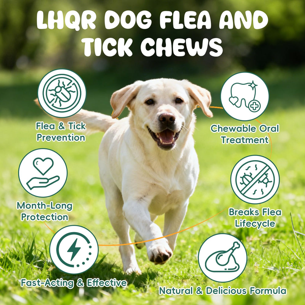 LHQR multivitamin blend chews emphasizing vitamins A and E for wellbeing.