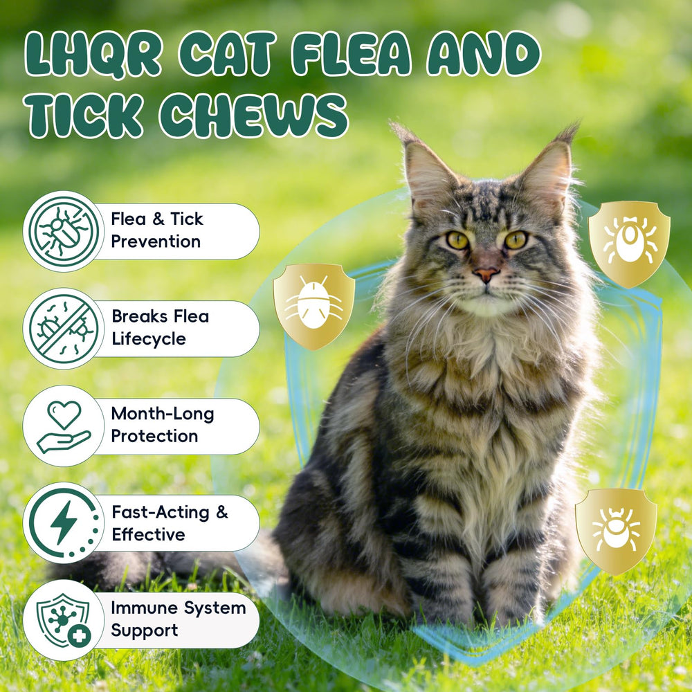 LHQR natural ingredients with brewer's yeast and garlic powder supporting health.