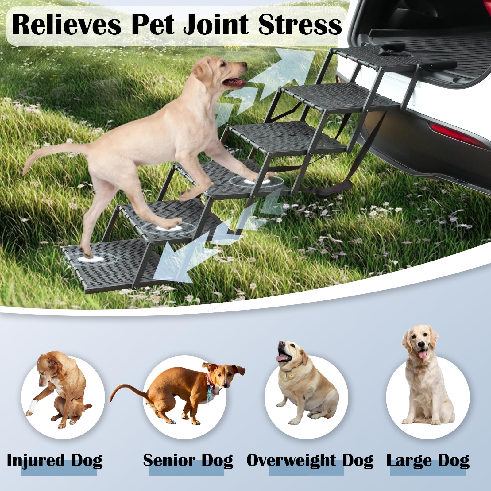 LIALEX dog ramp trunk-fit note helps confirm compatibility.