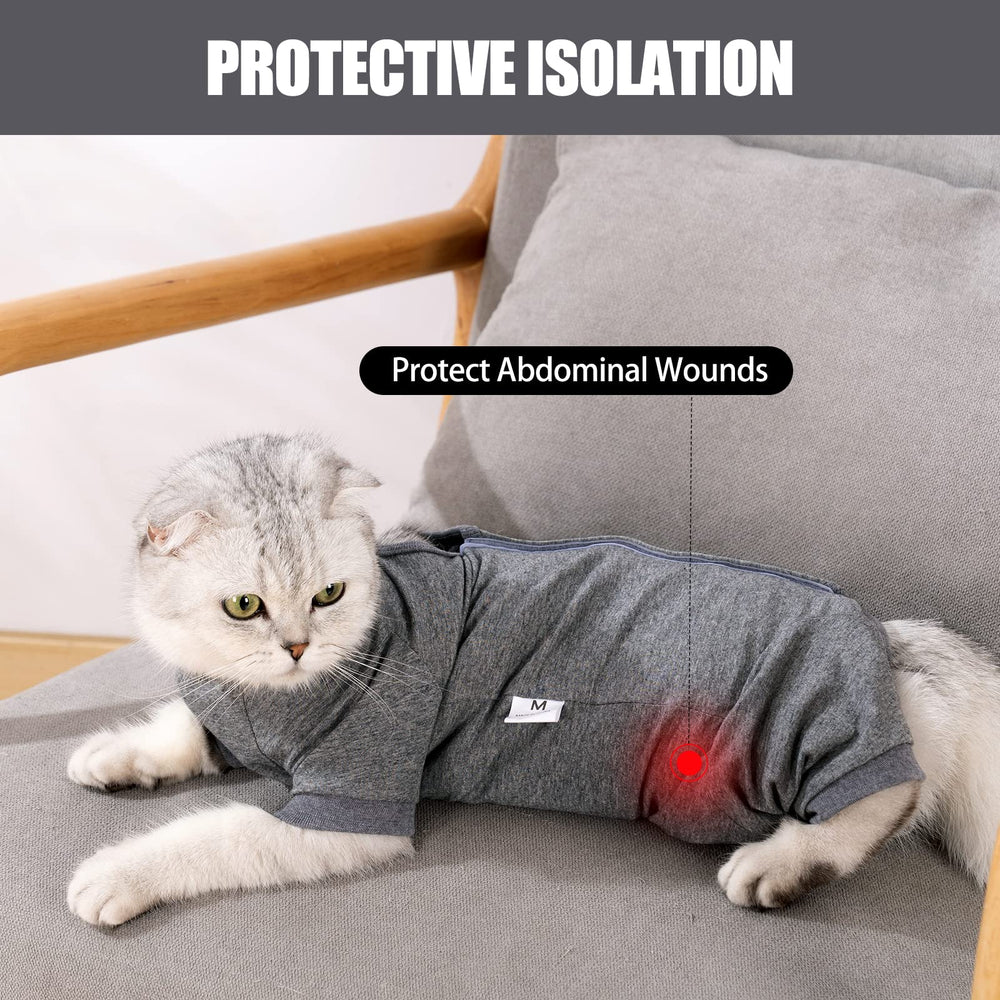 LIANZIMAU cat recovery suit size chart guides a snug fit.