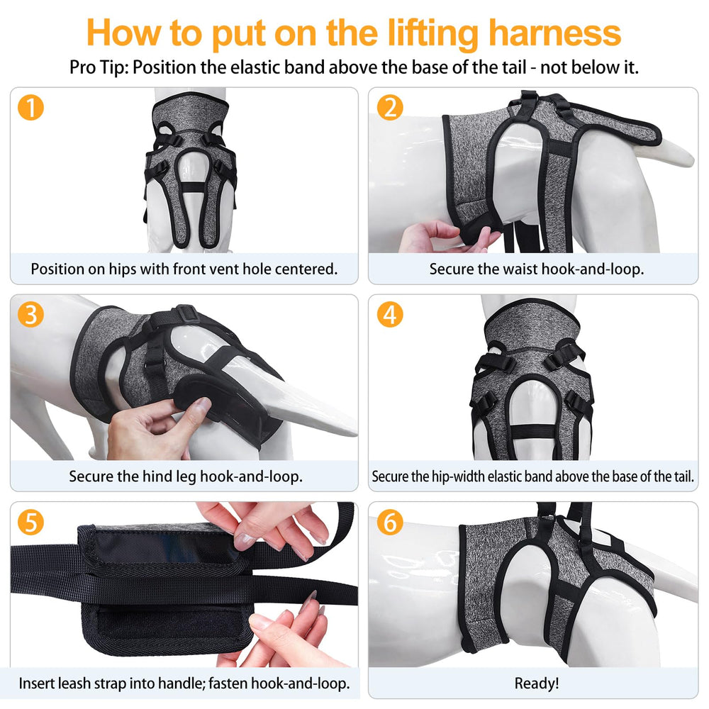 LIANZIMAU dog sling supports senior dogs during stairs and outdoors