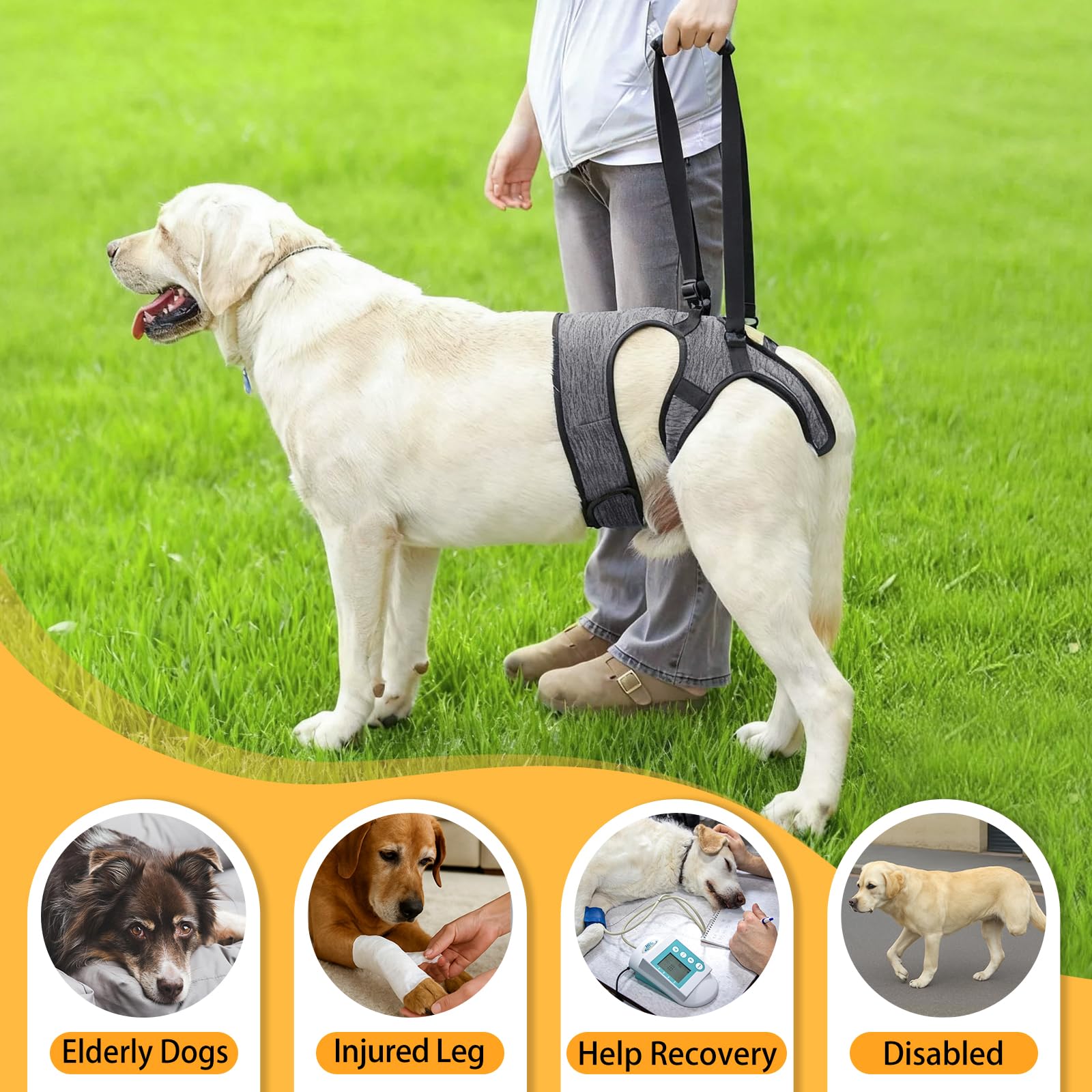 LIANZIMAU dog sling elastic tail band prevents slipping
