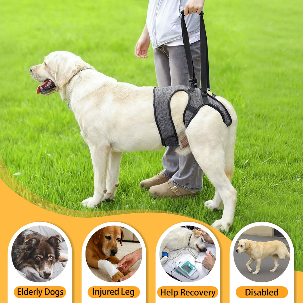 LIANZIMAU dog sling elastic tail band prevents slipping