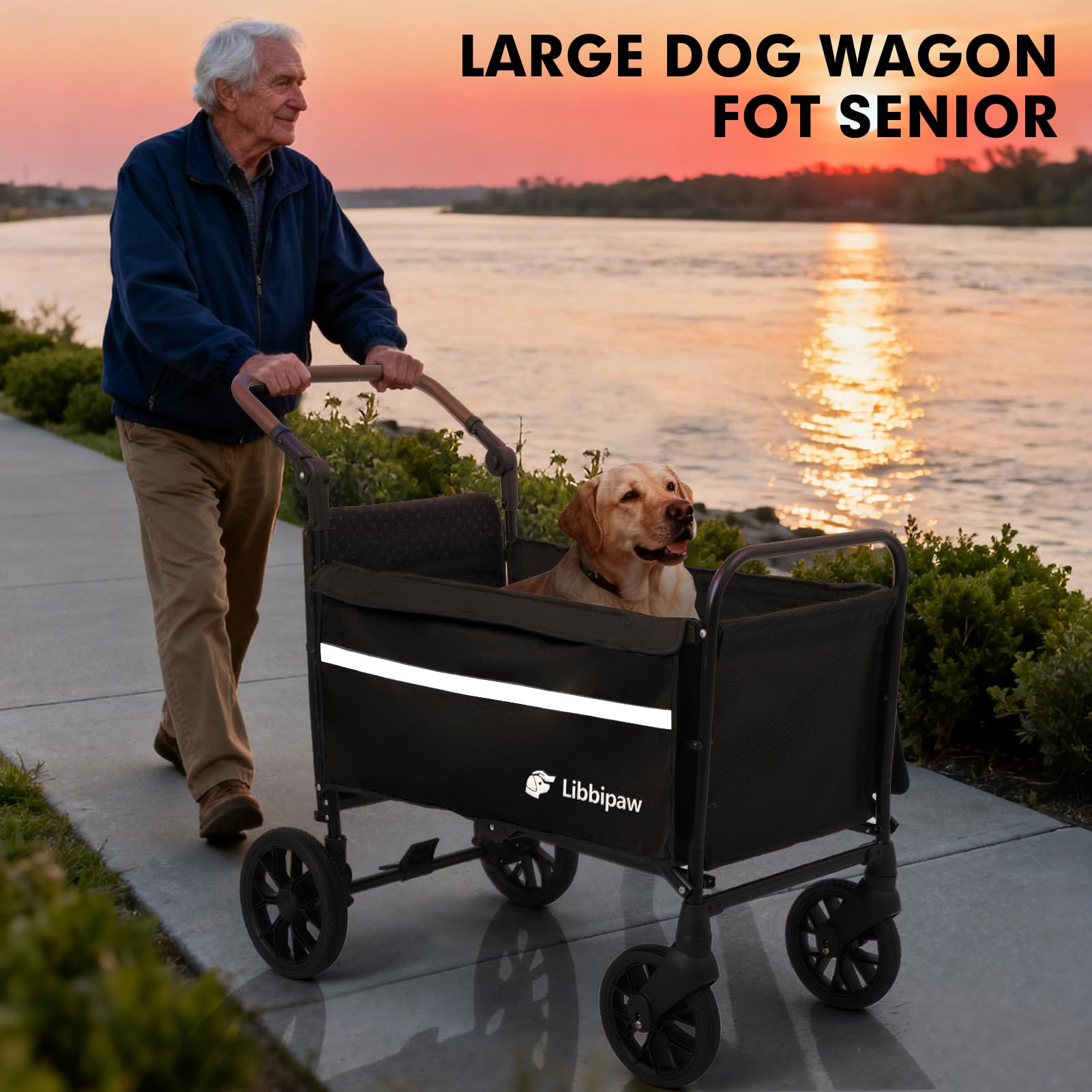 Libbipaw dog wagon internal-dimensions fit medium to large dogs comfortably.