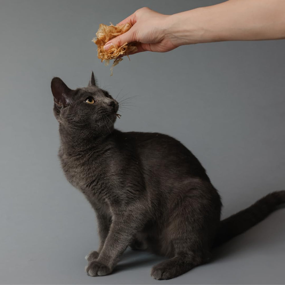 Life Essentials Bonito Flakes sprinkled on pet food to boost aroma and taste.