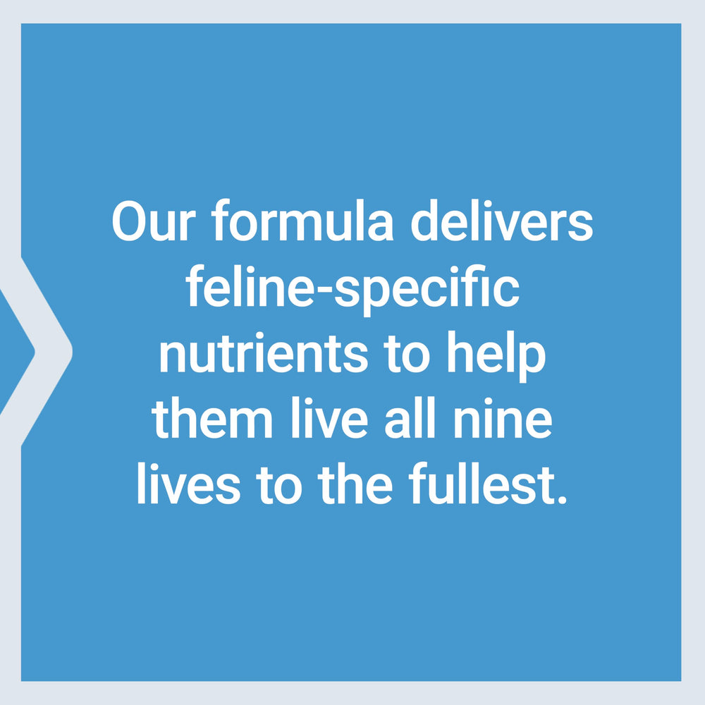 Life Extension Cat Mix gluten-free and non-GMO labeling on packaging.