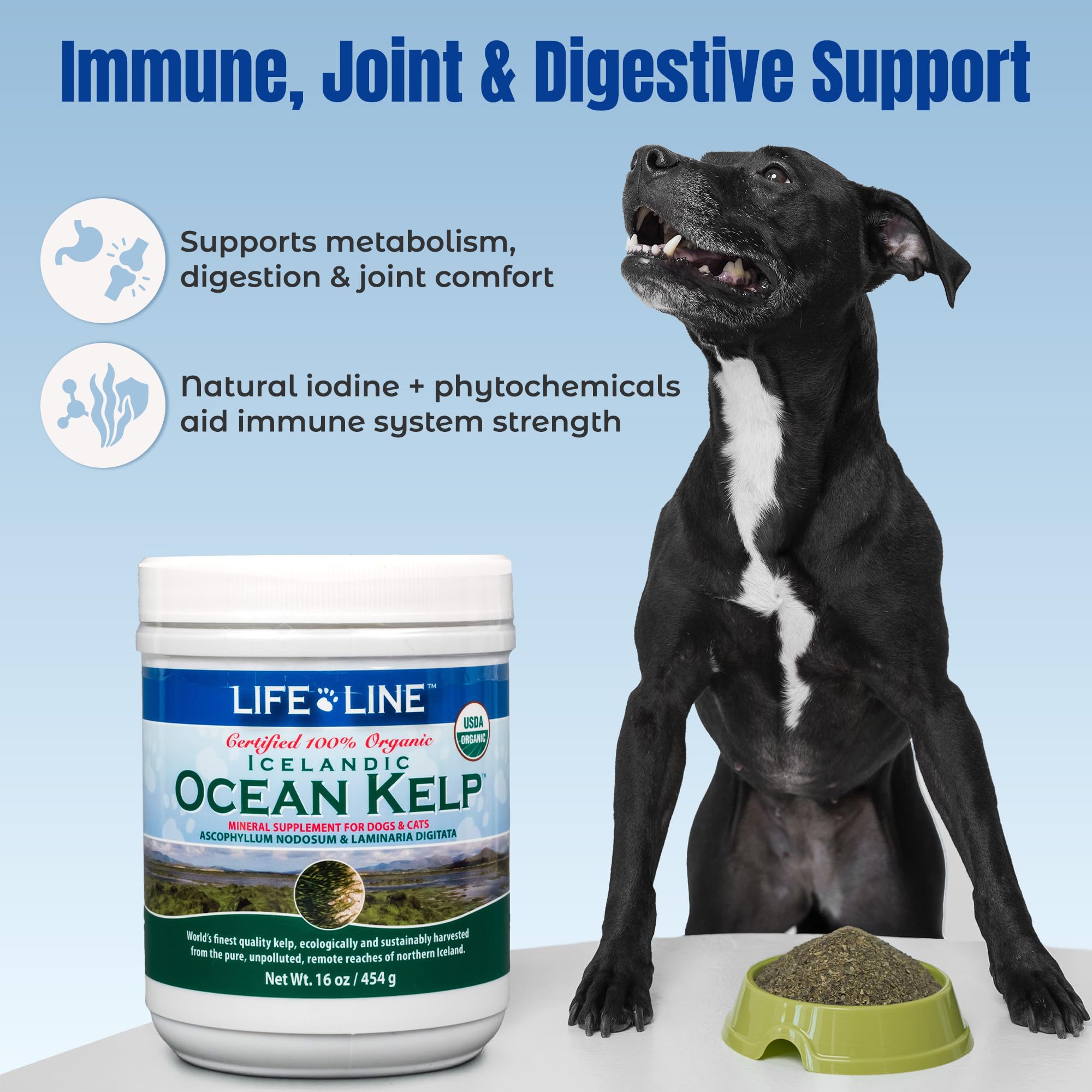 Life Line Organic Ocean Kelp added to a pet food bowl.