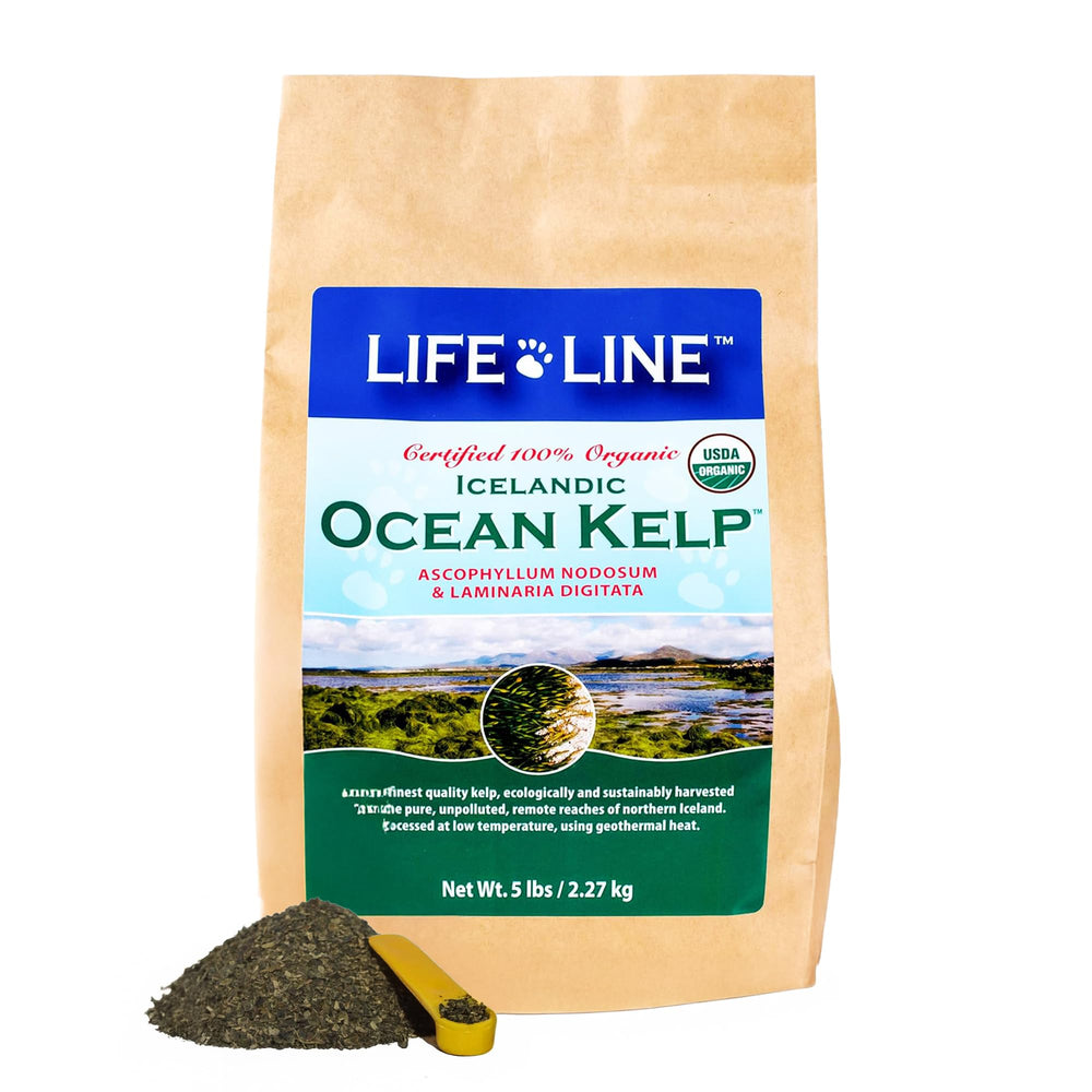 Life Line Organic Ocean Kelp dog bottle suggesting coat vitality