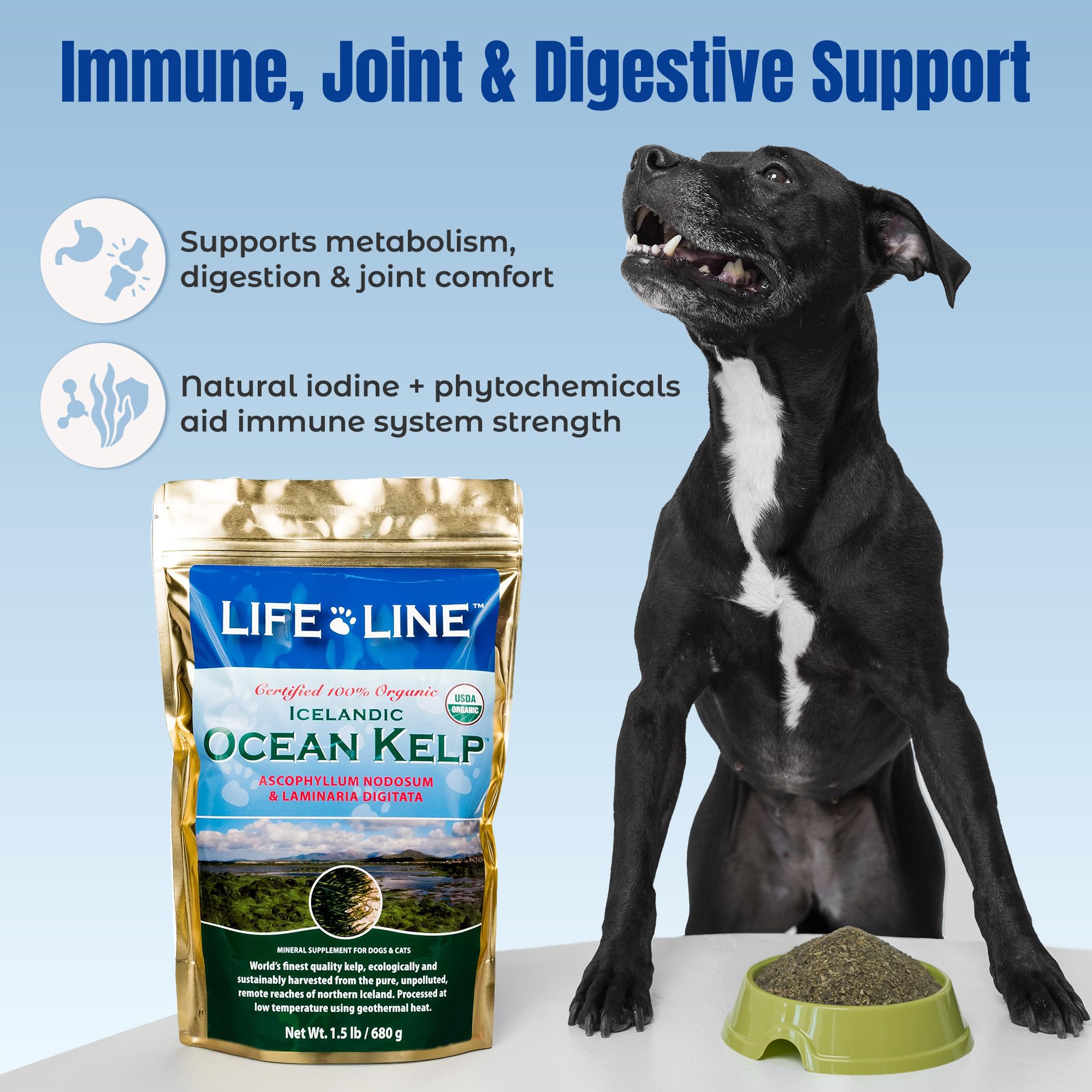 Dry powder form blends smoothly into pet meals