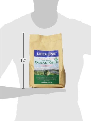 Life Line Organic Ocean Kelp powder scoop for easy daily dosing