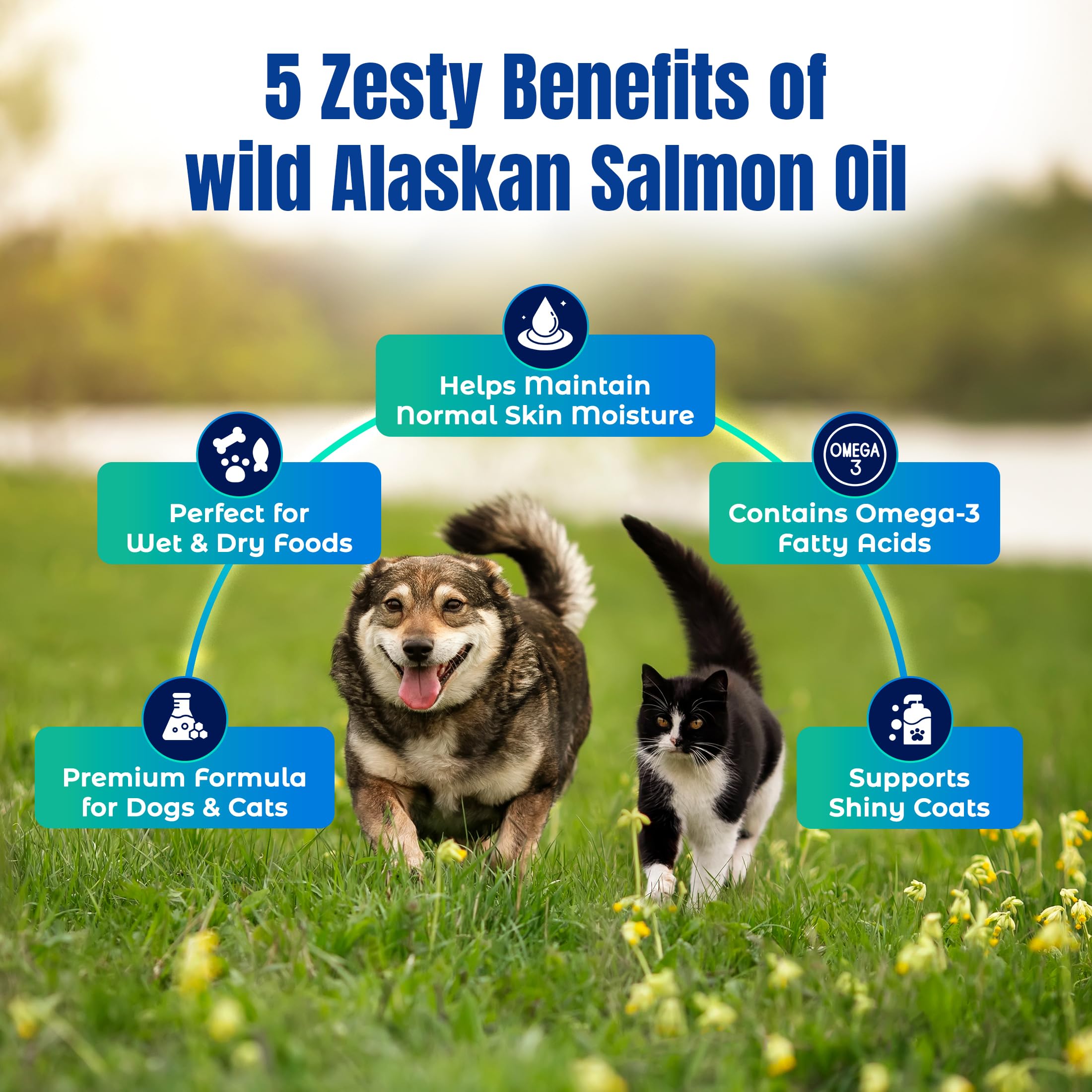 Bright eyes concept image associated with Life Line Fish Oil benefits