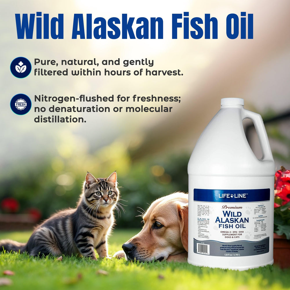 Life Line Fish Oil pour into bowl for easy administration and odorless blending with meals.