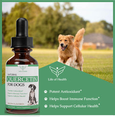 Life of Health Quercetin for Dogs drops ready to be added to meals for absorption.