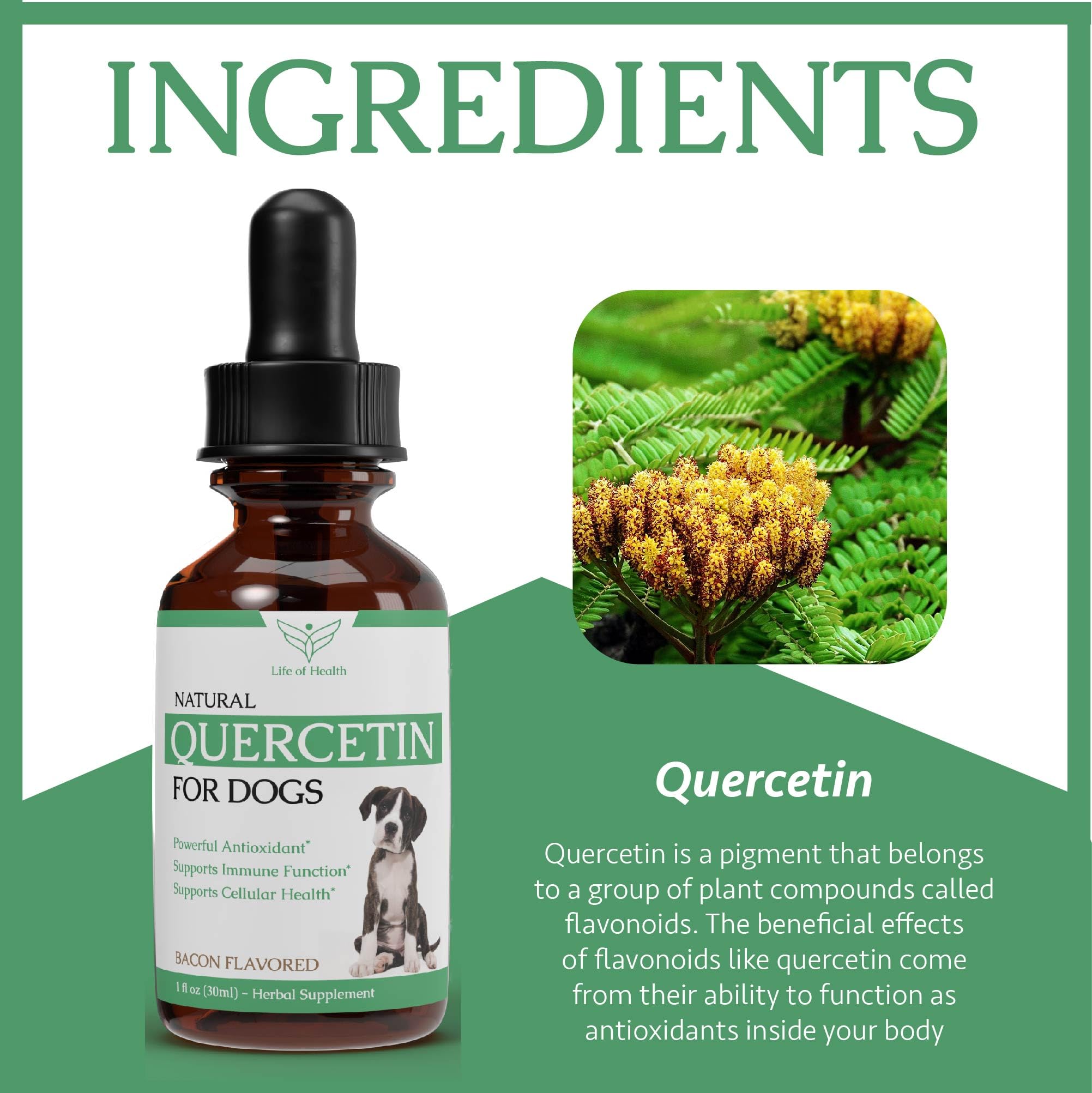 Life of Health Quercetin for Dogs bacon flavor entices picky eaters during dosing.