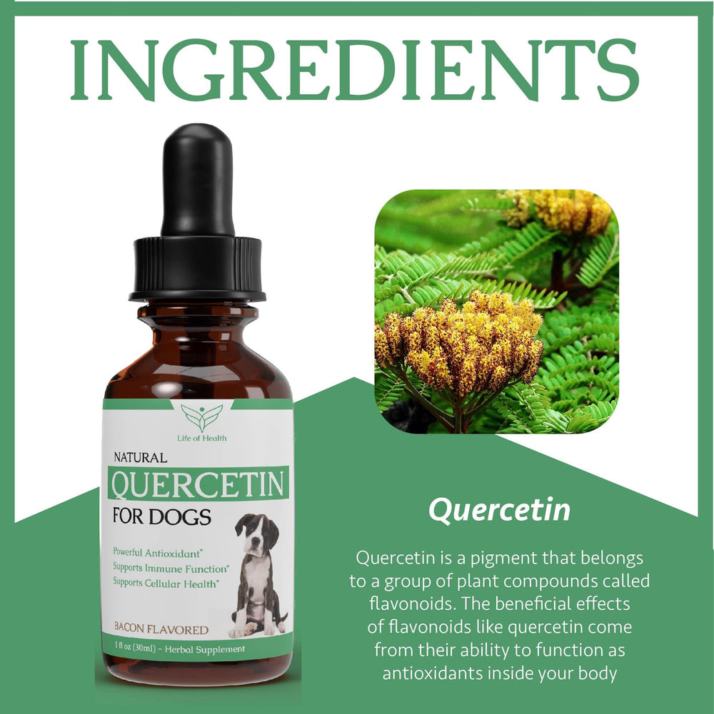 Life of Health Quercetin for Dogs bacon flavor entices picky eaters during dosing.