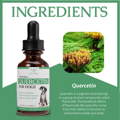 Life of Health Quercetin for Dogs bacon flavor entices picky eaters during dosing.
