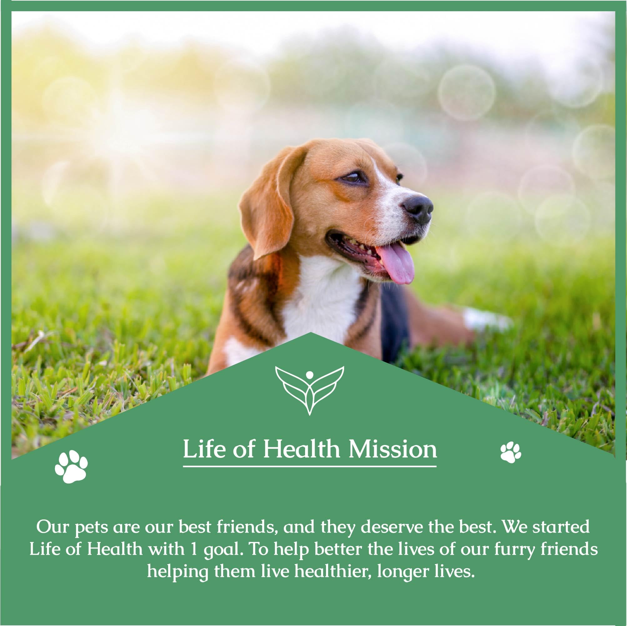 Life of Health Quercetin for Dogs serving-mixing shows simple daily use.