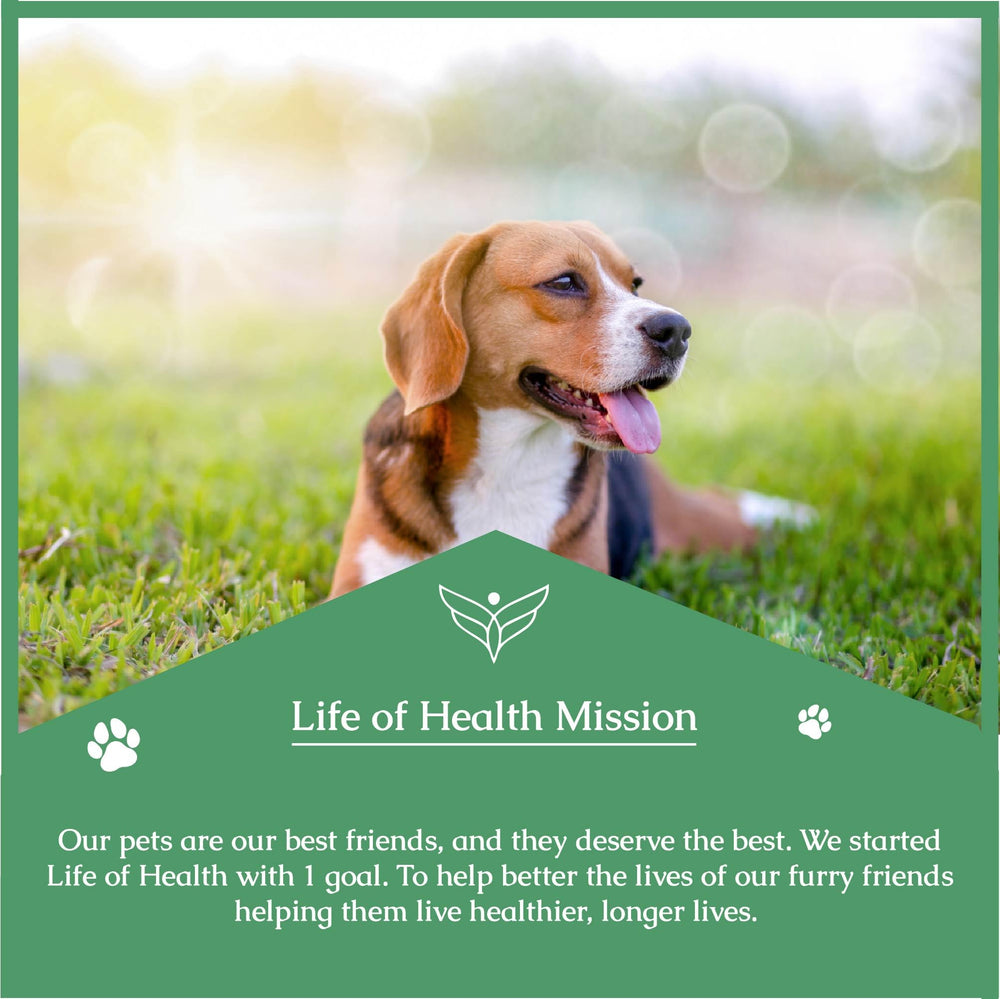 Life of Health Quercetin for Dogs serving-mixing shows simple daily use.
