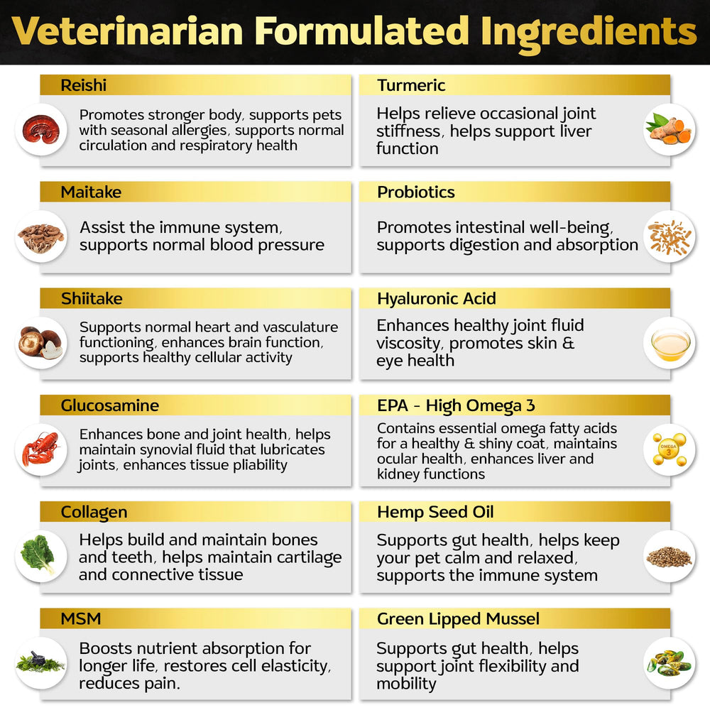 Life4Legs ingredients list glucosamine turmeric omega-3