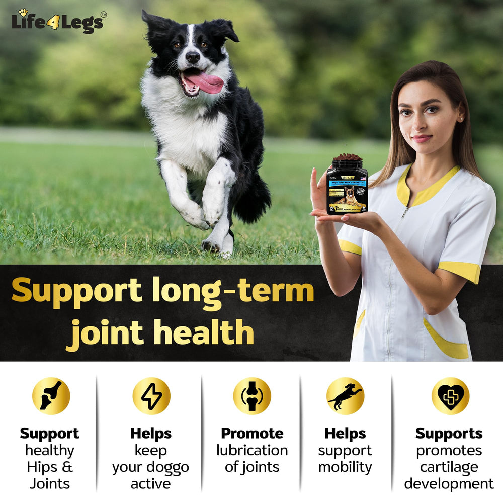 Life4Legs packaging close-up showcasing hip and joint formula