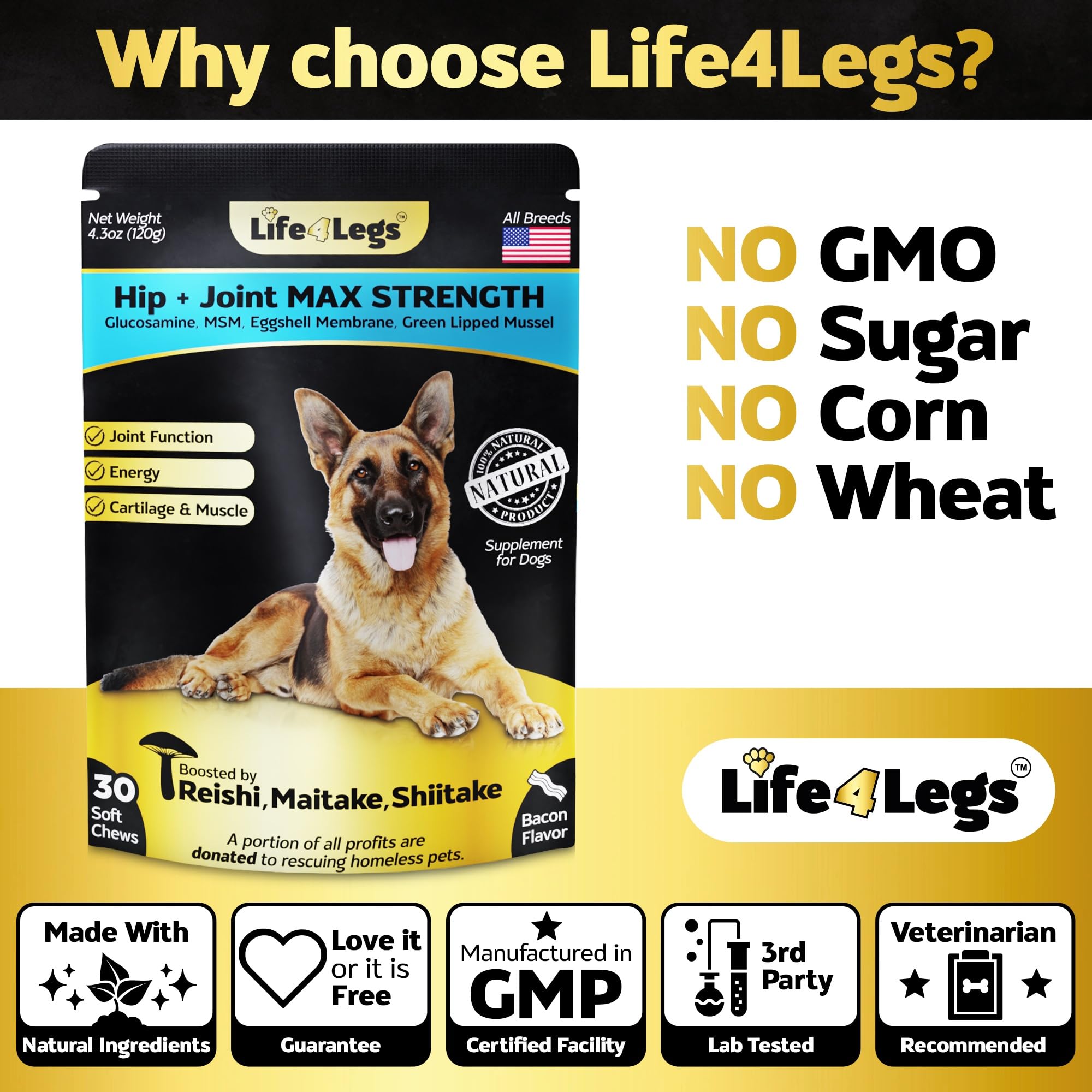 Life4Legs soft chews texture close-up highlighting soft chew