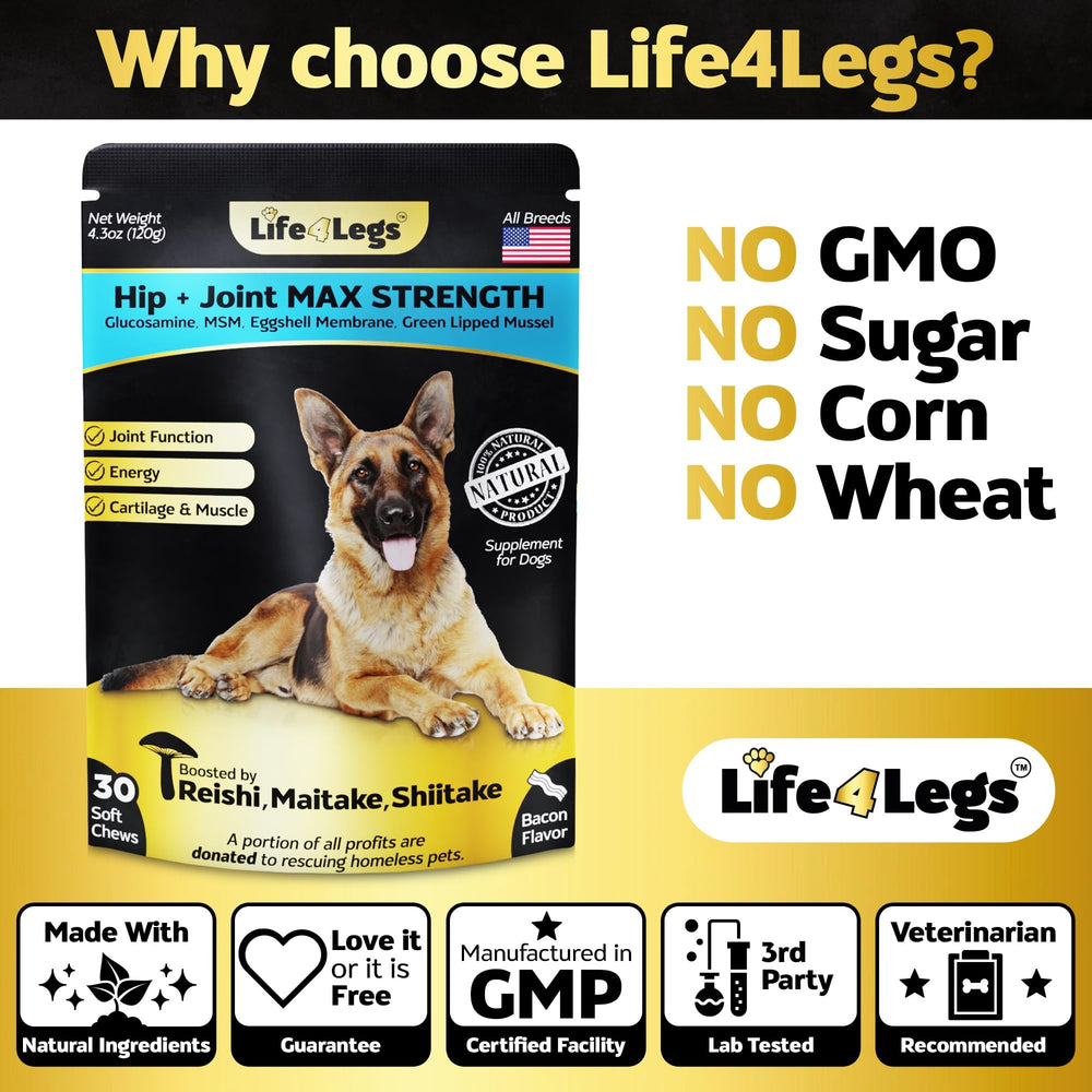 Life4Legs soft chews texture close-up highlighting soft chew