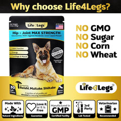 Life4Legs soft chews texture close-up highlighting soft chew