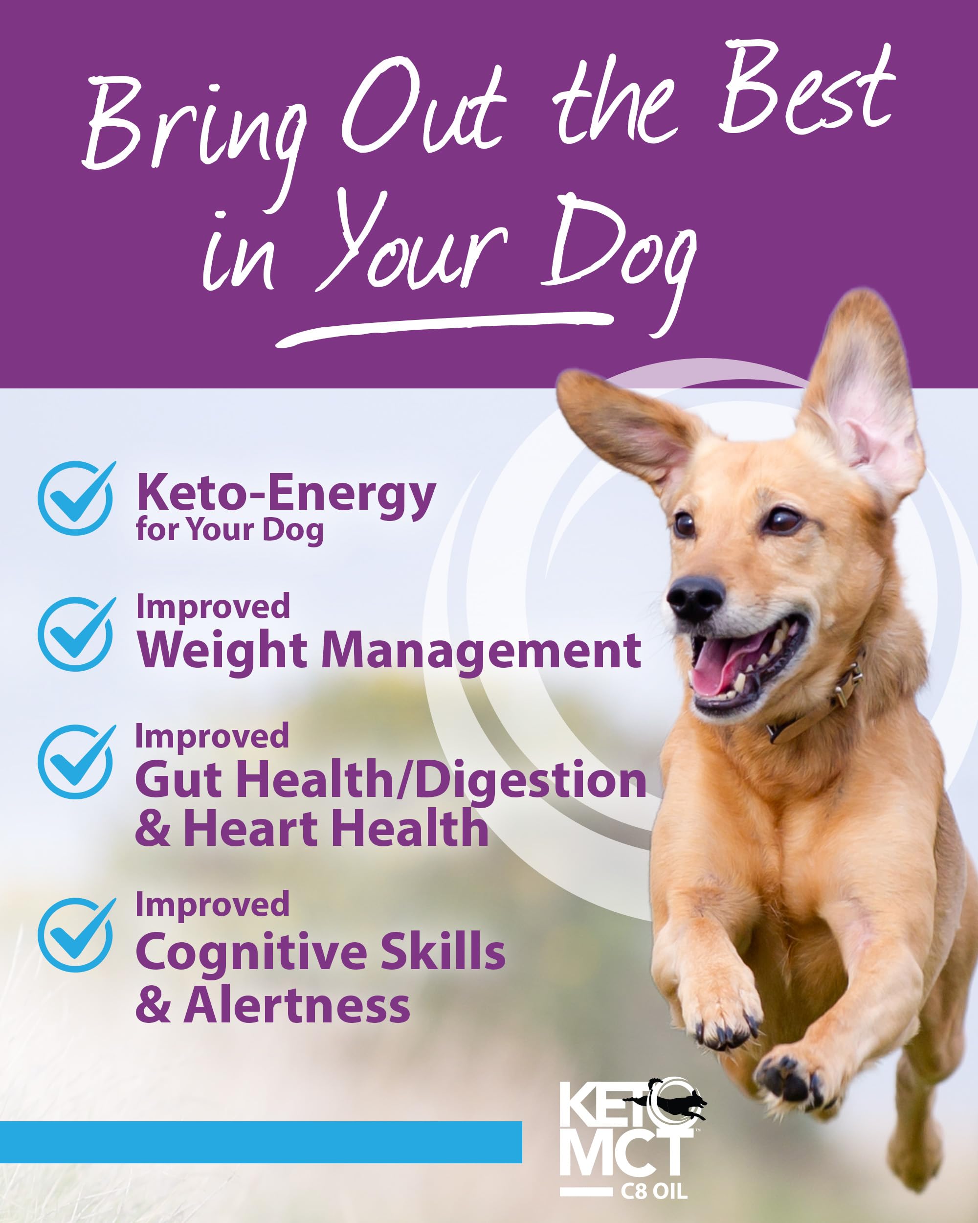 LifeSense C8 MCT Oil for Dogs bottle closeup-label emphasizes coconut-derived C8 purity.