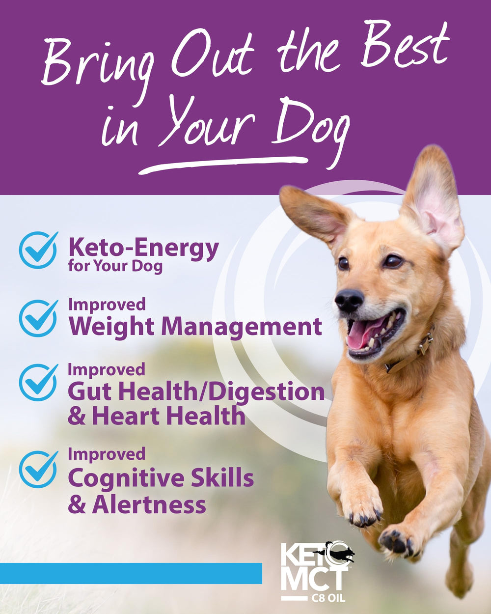 LifeSense C8 MCT Oil for Dogs bottle closeup-label emphasizes coconut-derived C8 purity.