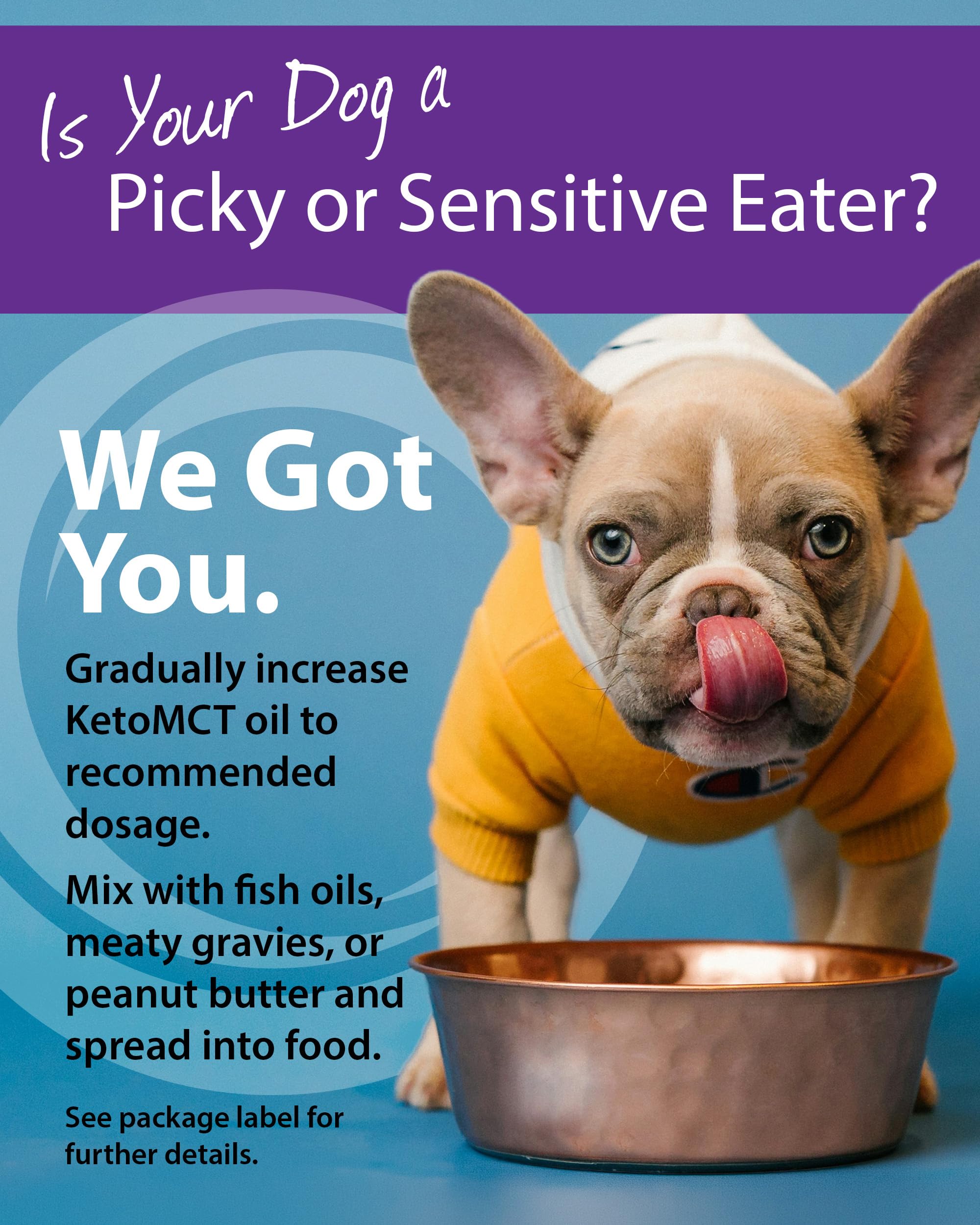 LifeSense C8 MCT Oil for Dogs in-bowl demonstrates ready-to-use daily fueling.