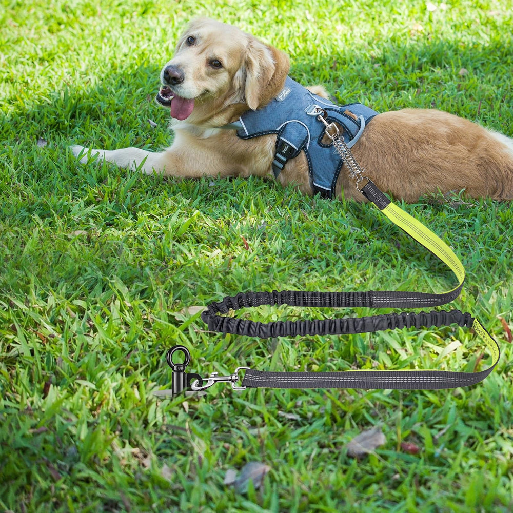 Lifeswell stake is ideal for yard, camping, and beach use