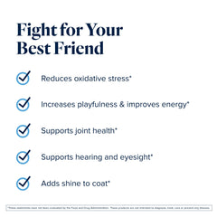 LifeVantage Petandim dog coat and skin shine from collagen and fatty acids