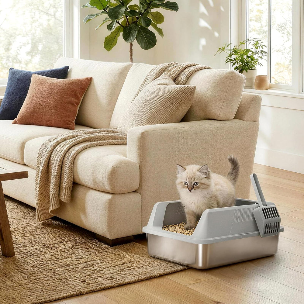 Lifewit gray color blends with modern home interiors