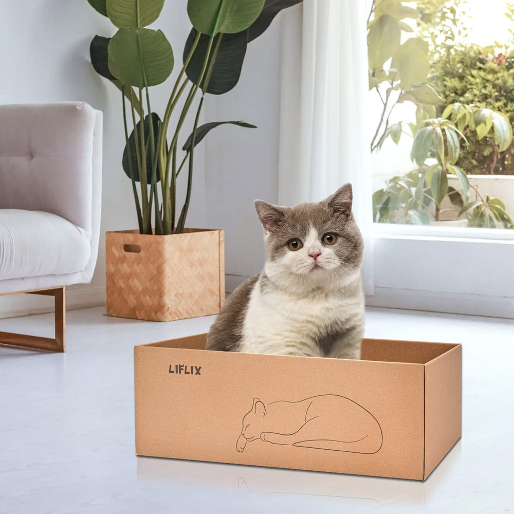 Large box accommodates cats up to 26 lbs for comfortable lounging.