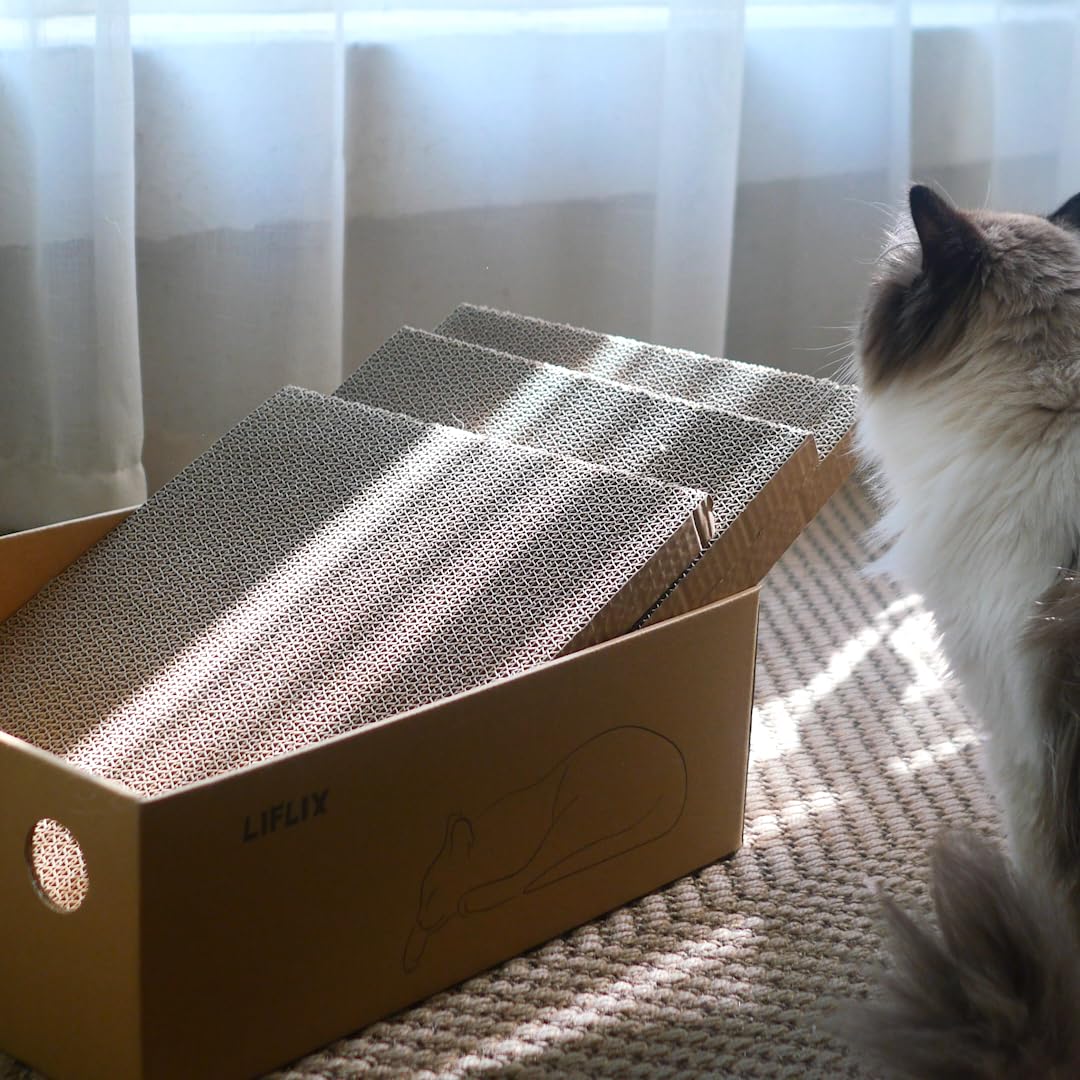 Helps protect furniture by offering a dedicated scratching area.