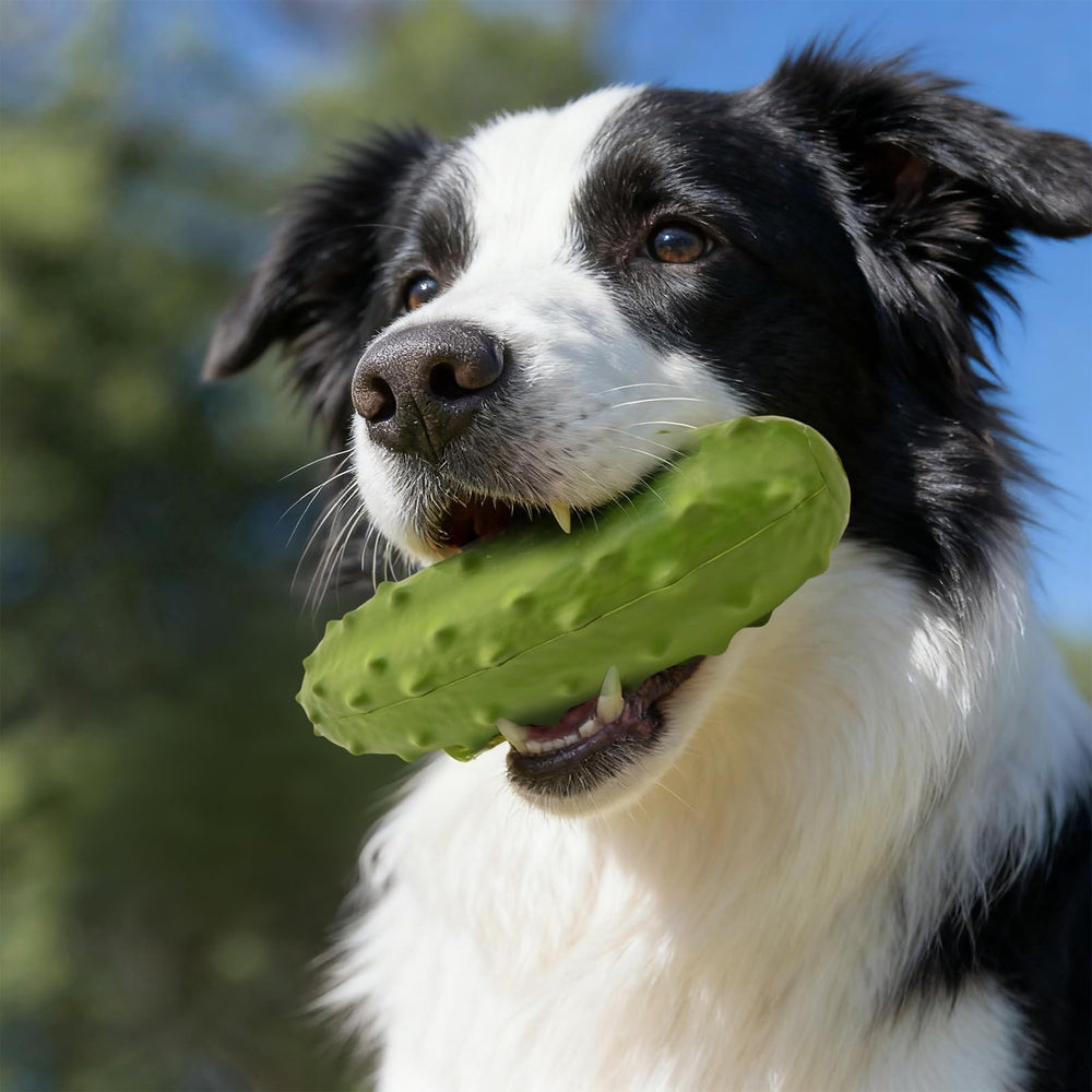 LIFLIX squeaky cucumber toy aids visible play during outdoor activities