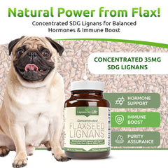 Lignans For Life dog coat shine suggests healthier fur