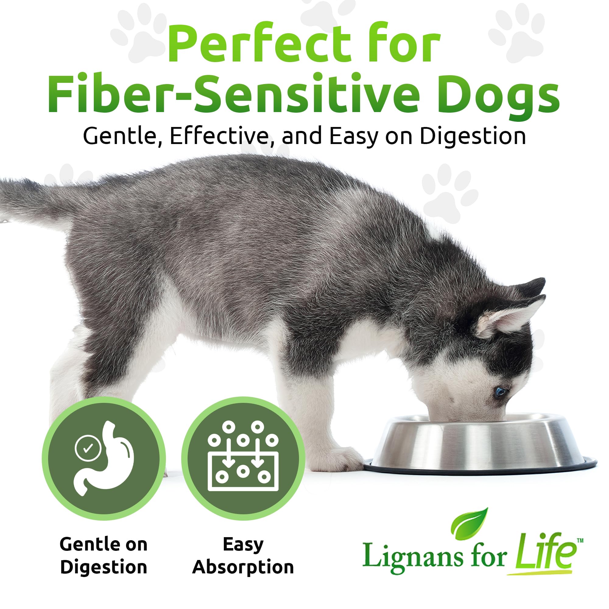 Lignans For Life HMR Lignans 10mg digestive support aids GI comfort